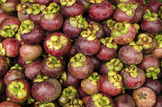 mangosteen tropical fruit in thailand market