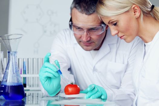 manand woman try to change tomato DNA