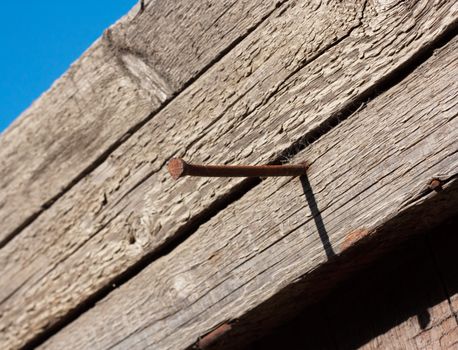 Rusty nail in obsolete wood plank