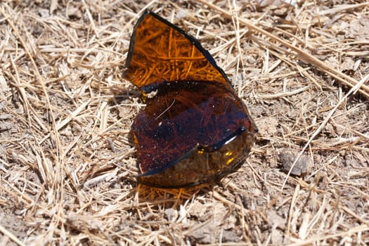 broken brown glass on the ground