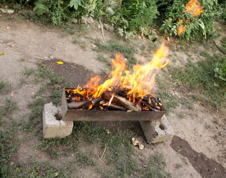 fire in a brazier on the background of green forest 