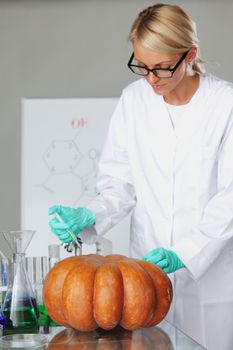 Scientist conducting genetic experiment with pumpkin