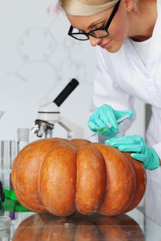 Scientist conducting genetic experiment with pumpkin