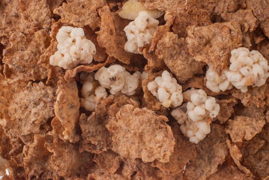 Crunchy breakfast cereals background with all sorts of nuts, food texture.