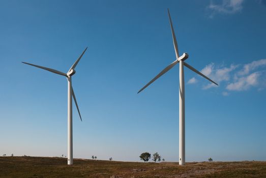 Beautiful meadow with Wind turbines generating electricity.