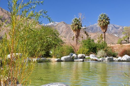 This small pond is located in Whitewater Canyon near the desert town of Palm Springs, California.