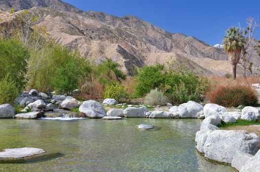 A small stream of water feeds into this pond at Whitewater Canyon near the desert town of Palm Springs, California.