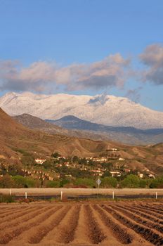 Snow covered Mount San Jacinto rises above farmland in Southern California.