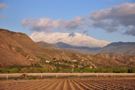 View of Southern California's snow-capped Mount San Jacinto with recently plowed farmland in the foreground.