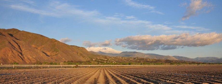 Rows of plowed farmland frame this distant view of Mount San Jacinto in Southern California.