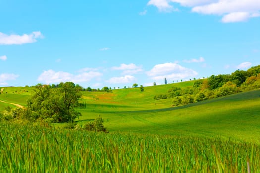 green field on blue sky