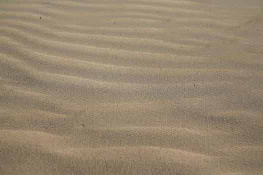 Picture of a sand dune good for background