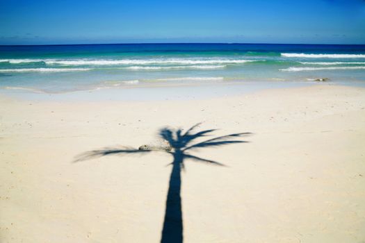 a beautiful tropical island scene in Cuba