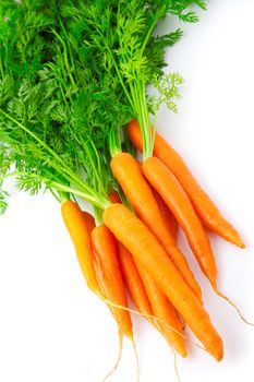 fresh carrot fruits with green leaves, isolated on white background