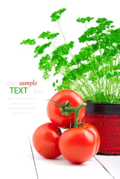 Red tomato with parsley on wooden white background.