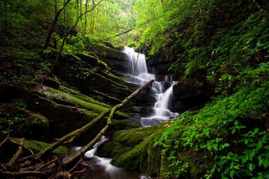 Deep forest Waterfall in Thailand