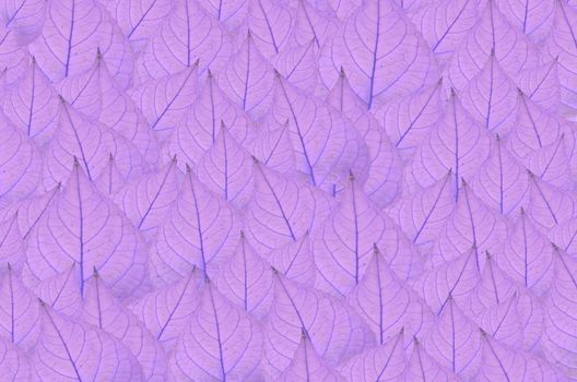 art  background with  violet leaves   , abstract wallpaper
