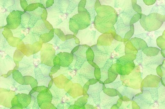 art  background with flowers  , abstract wallpaper