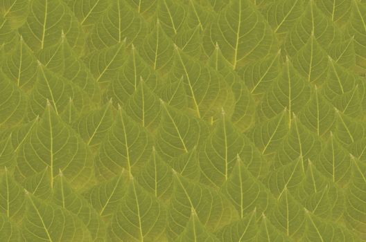 art  background with leaves   , abstract wallpaper
