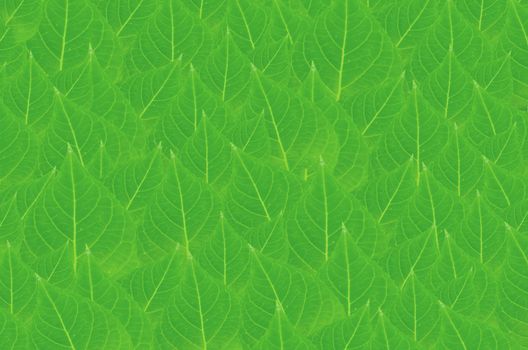 art  background with green  leaves   , abstract wallpaper
