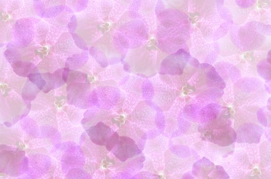 art  background with violet  flowers  , abstract wallpaper