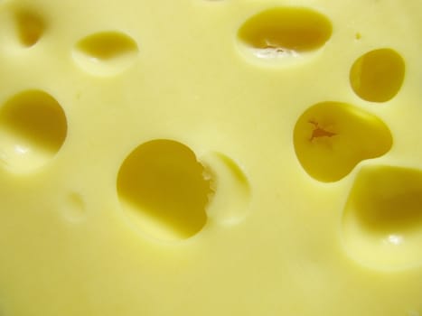 close up of cheese texture