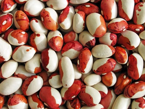 close up of kidney beans
