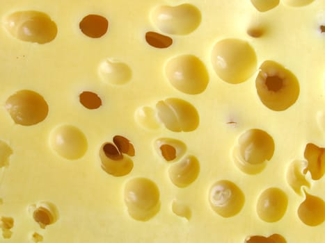 cheese background