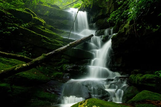 Deep forest Waterfall in Thailand