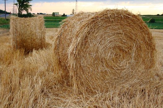 staw bales in the field during harvest