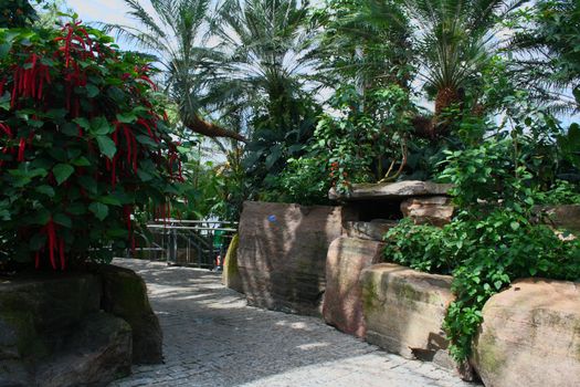 butterfly conservatory, tropical indoor park