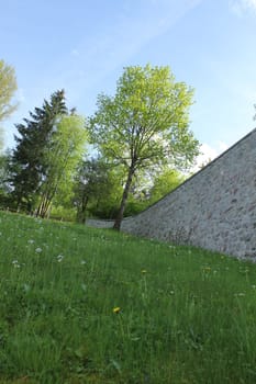 spring meadow corner