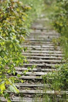 old railway track