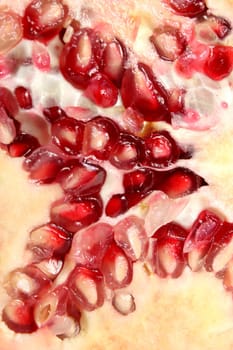 pomegranate texture