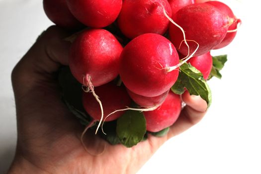 radish hand