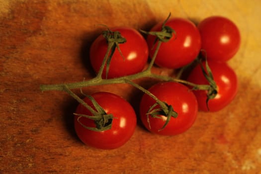 tomato branch