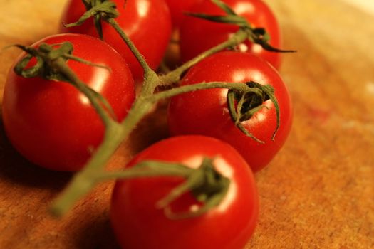 tomato branch