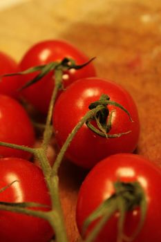 tomato branch