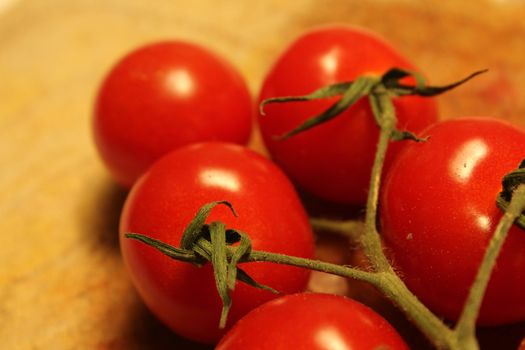 tomato branch