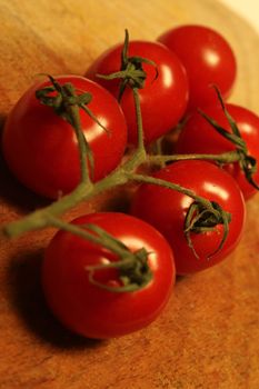 tomato branch