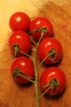 tomato branch