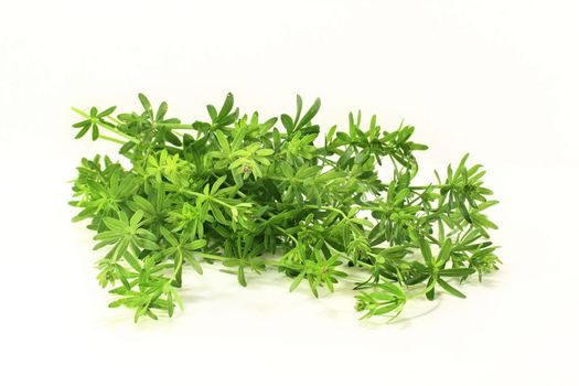 some bedstraw stems on a light background