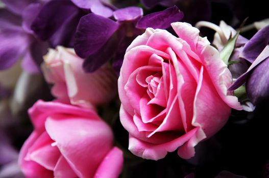 Roses in a bouquet of flowers