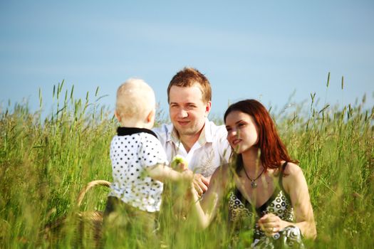  picnic of happy family on green grass