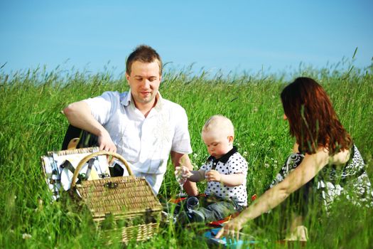  picnic of happy family on green grass