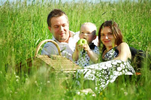  picnic of happy family on green grass