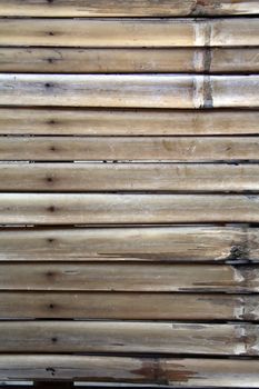 bamboo texture 