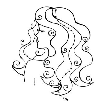 drawing. A girl with long hair. A sketch on a white background