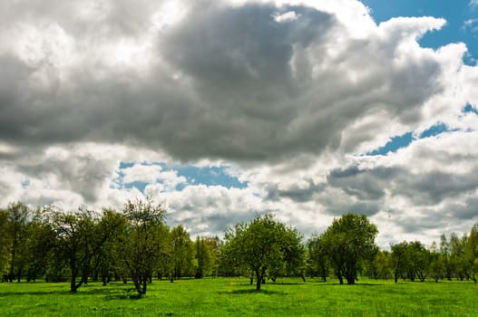 Meadow with big, cirrus and fluffy clouds on background