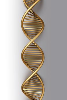 A symbolic DNA model. 3D rendered illustration. 